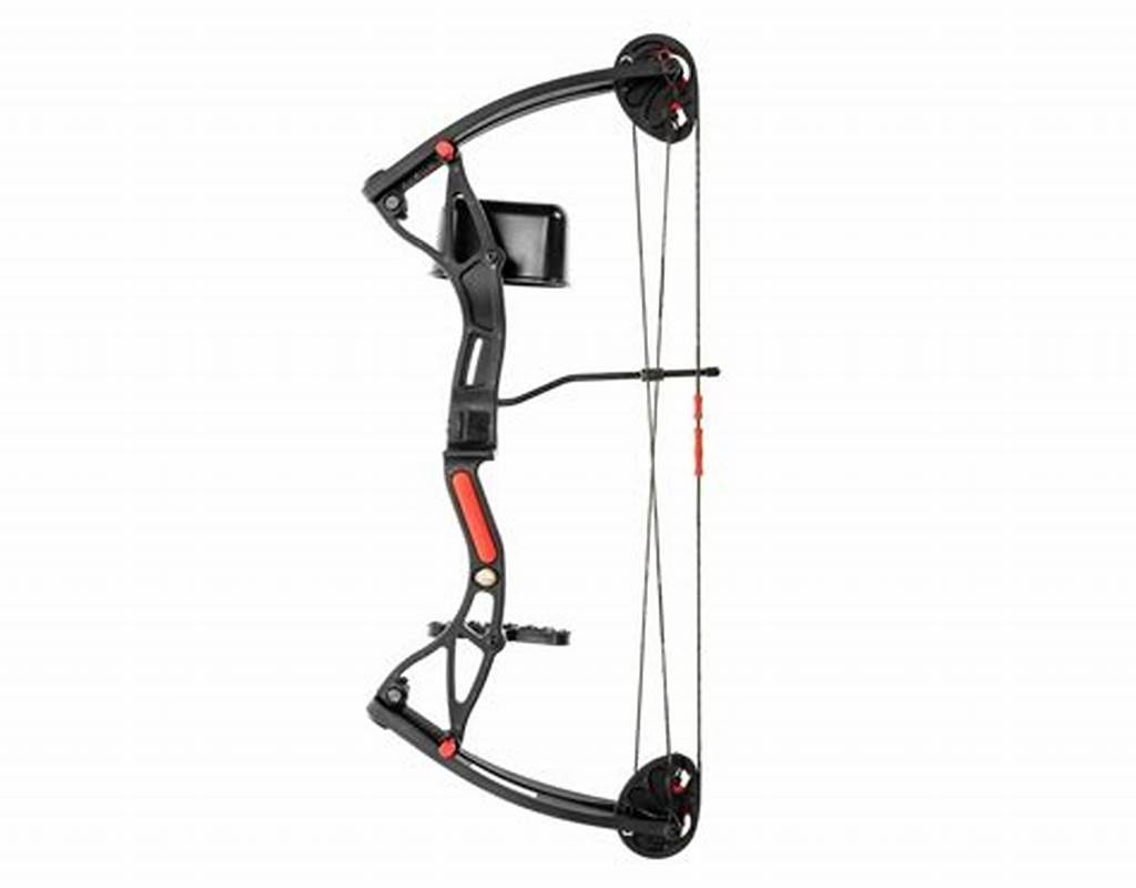 Junxing S-10 Bow: The Best Bow For Hunting