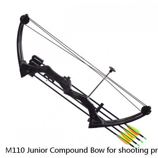 M110 Junior Compound Bow for shooting practicing archery with aluminum arrow 18lbs Nylon handle and limbs youth compound