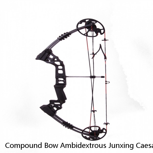 Compound Bow Ambidextrous Junxing Caesar