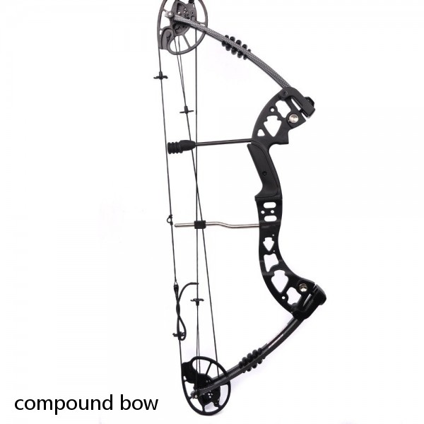 Junxing M125 compound bow archery hunting