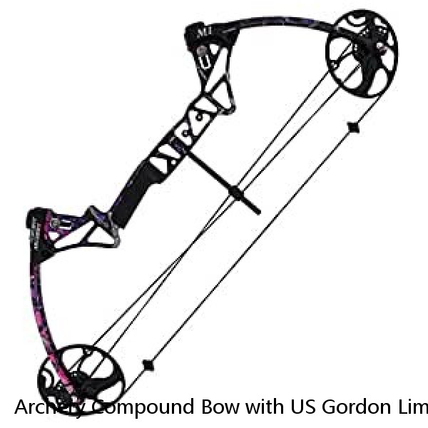 Archery Compound Bow with US Gordon Limb Adjustable 70lbs Professional Hunting Compound Bow