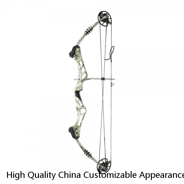 High Quality China Customizable Appearance Professional Adult Archery Compound Bow Outdoor Hunting Shooting Bow And Arrow Set
