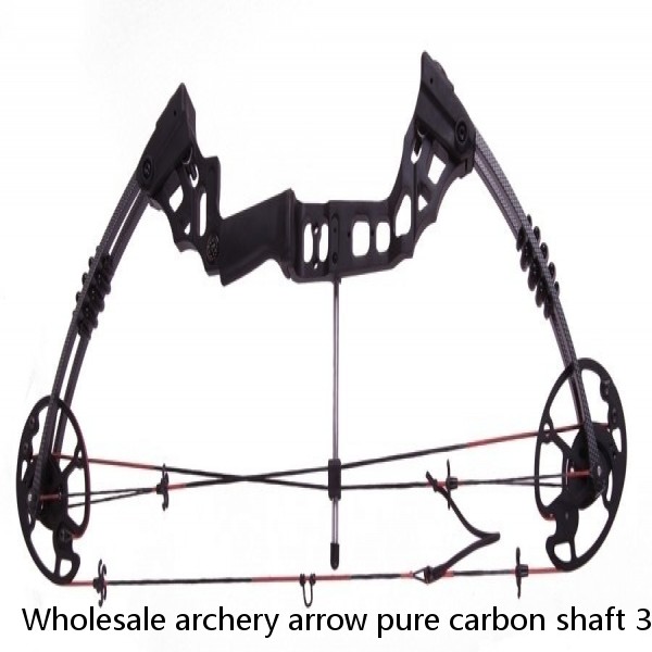 Wholesale archery arrow pure carbon shaft 31" with arrow insert and 4" turkey feather