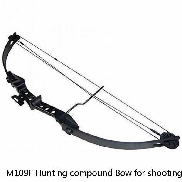 M109F Hunting compound Bow for shooting Archery Arrow 30-60lbs Aluminum Riser Laminated Limbs